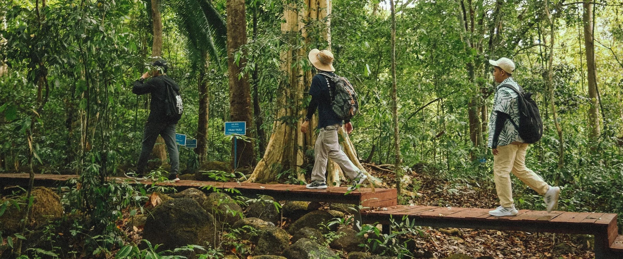 Visitors follow a raised wooden path through a green forest.
